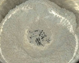 Foto del paso 2 de la receta: Pan de vagos