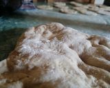 Foto del paso 4 de la receta: Michi pizzetas