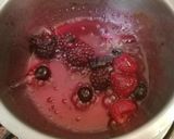 A picture of step 8 of Overnight oats with mix berries.
