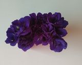 A picture of step 1 of Butterfly Pea Lemonade.