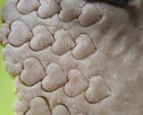 Foto langkah ke 4 dari resep Peanut Cookies.