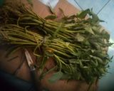 Foto langkah ke 1 dari resep Tumis kangkung simple ala indri.
