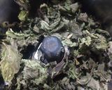 सूखे पुदीना का मसाला रेसिपी चरण 2 फोटो