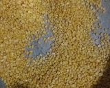 মুগ দুধ পটল (Mug dudh potol recipe in Bengali) রেসিপি ধাপ - 2 ছবি
