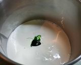 Foto del paso 4 de la receta Espuma de yogur con aroma de menta