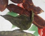 Foto langkah ke 2 dari resep Sayur asem jawa.