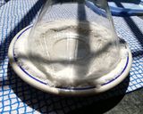 Foto del paso 1 de la receta Insuperable Cóctel Margarita🍸