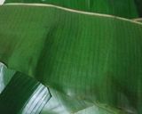 Foto langkah ke 5 dari resep Nasi Bakar Ikan Tongkol.