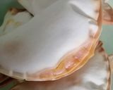 Foto del paso 4 de la receta: Empanadas rellenas de carne estofada
