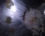 உருளைக்கிழங்கு குருமா (Urulaikilanku kuruma recipe in tamil) ரெசிபி ஸ்டேப் 3 புகைப்படம்