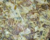 A picture of step 5 of Easy coriander mix.