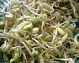 Foto langkah ke 1 dari resep Tumis terong bulat.