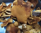 Foto del paso 1 de la receta: Hongos a la provenzal