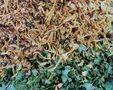 A picture of step 3 of Sambar Vadi (Pudachi Vadi or Patodi)!!.