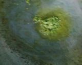 સ્પ્રિંગ રોલ (Spring Roll Recipe In Gujarati) રેસીપી સ્ટેપ2ફોટો