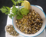 પ્રોટીન રીચ બાઉલ (Protein Rich Bowl Recipe In Gujarati) રેસીપી સ્ટેપ6ફોટો