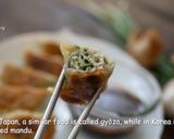 Foto langkah ke 6 dari resep RESEP GYOZA/KUOTIE/POTSTICKER DUMPLINGS.