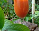 A picture of step 2 of Sweet Papaya Smoothie.