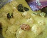 Foto langkah ke 5 dari resep Bola-Bola Ayam Opor Creamy.