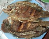 Foto langkah ke 5 dari resep Nila Goreng Gurih.
