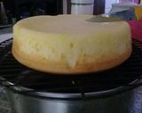 Foto langkah ke 6 dari resep Ogura cheesecake.