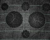Foto del paso 7 de la receta: Minitartas integrales de ricota
