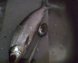 Foto langkah ke 1 dari resep Otak otak tim ikan bandeng.