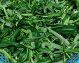 Foto langkah ke 2 dari resep 18. Tumis Kangkung Tauco.