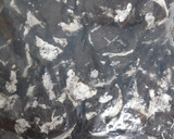 Foto del paso 1 de la receta: Pie de galleta oreo sin horno