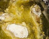 A picture of step 6 of Chicken broast 2.