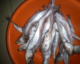 Farfesun kifimatakin girki1 hoto