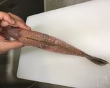 糖醋澎湖野生寒鯛的食譜步驟3照片