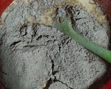 عکس مرحله 3 از دستور کیک شکلاتی