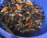 Une image de l'étape 1 de Moules au gorgonzola.