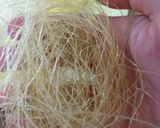 Foto langkah ke 1 dari resep Corn Silk Tea (Teh rambut jagung).