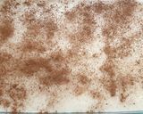 Foto del paso 3 de la receta 2 maneras Arroz con Leche Mastermix
