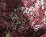Foto del paso 5 de la receta: Espaguetis integrales con salsa de remolacha y mostaza