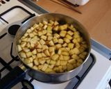 A picture of step 3 of Vickys Onion & Apple Soup, GF DF EF SF NF.