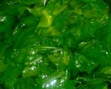 A picture of step 1 of Palak paneer.