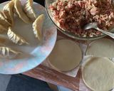 Foto del paso 9 de la receta: Gyozas de cerdo