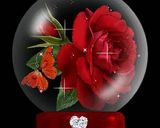 صورة لخطوة 14 من وصفة اجمل اصدقاء 😘😘😉😉😘