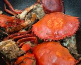Foto langkah ke 3 dari resep Kepiting 🦀 Saus Tiram.