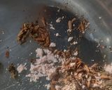 A picture of step 3 of Isabgol masala buttermilk.