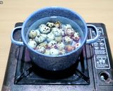 Foto langkah ke 2 dari resep BOLA-BOLA TELUR PUYUH KRISPI DAN SIMPEL.
