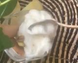 Une image de l'étape 9 de 🍦Créponé 🍋🥄oranais🍨.