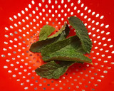 Foto del paso 3 de la receta: Ensalada Waldorf