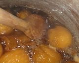 Foto del paso 2 de la receta: Conserva de mango ciruelo