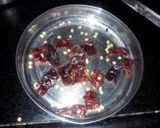 A picture of step 2 of Lehsuni Gobhi.