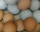 Foto langkah ke 5 dari resep Telur Asin Homemade.