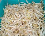 Foto langkah ke 2 dari resep Gehu (Taoge Tahu) Bumbu Kencur.